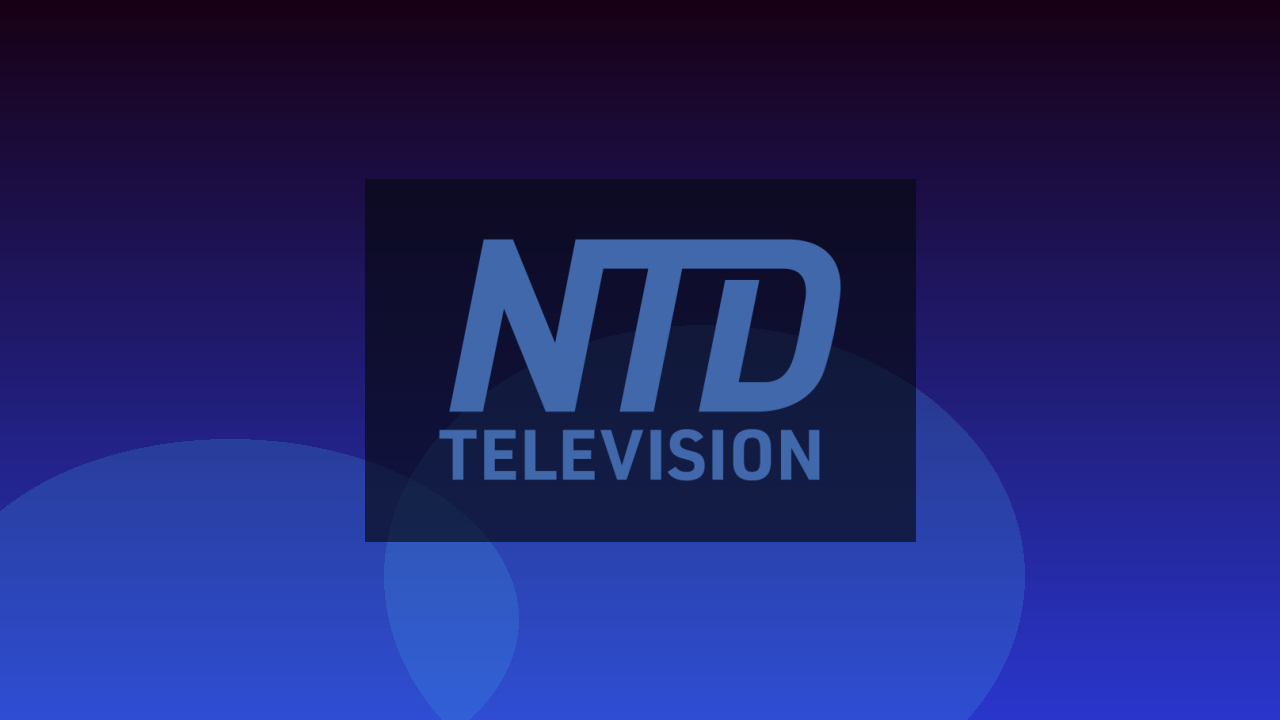 NTD TV English